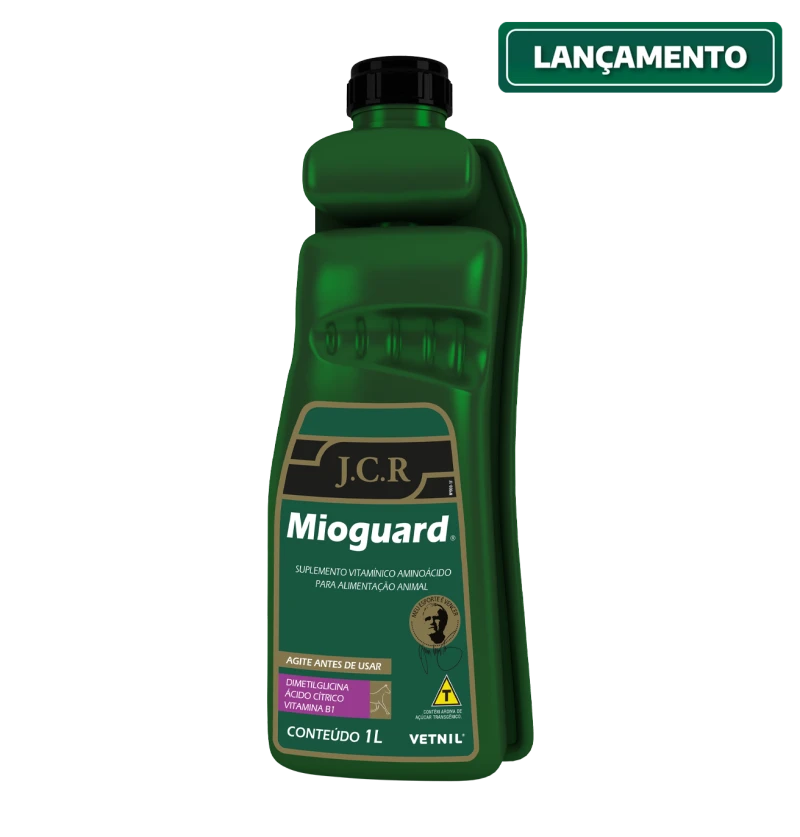 Beribéri e Síndrome de Wernicke-Korsakoff: Como a Vitamina B1 Atua no Tratamento