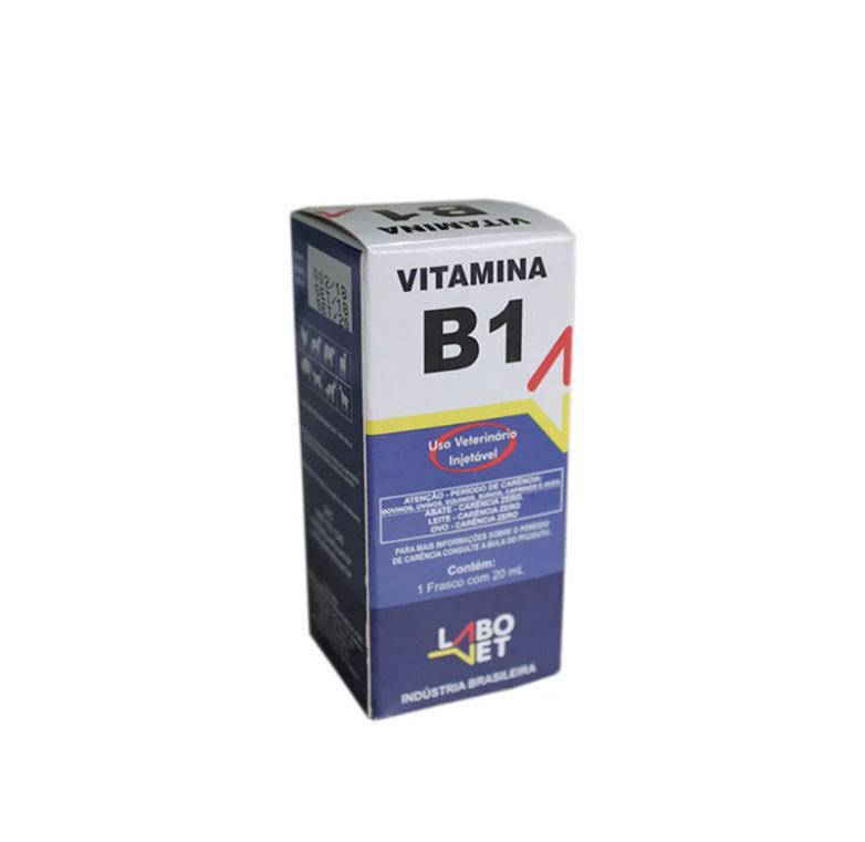 Grupos de Risco para Deficiência de Vitamina B1: Quem Precisa de Atenção?