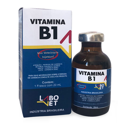 Como a Vitamina B1 Afeta Seu Humor e Energia