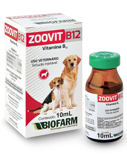 sintomas de falta de vitamina b12 em gatos