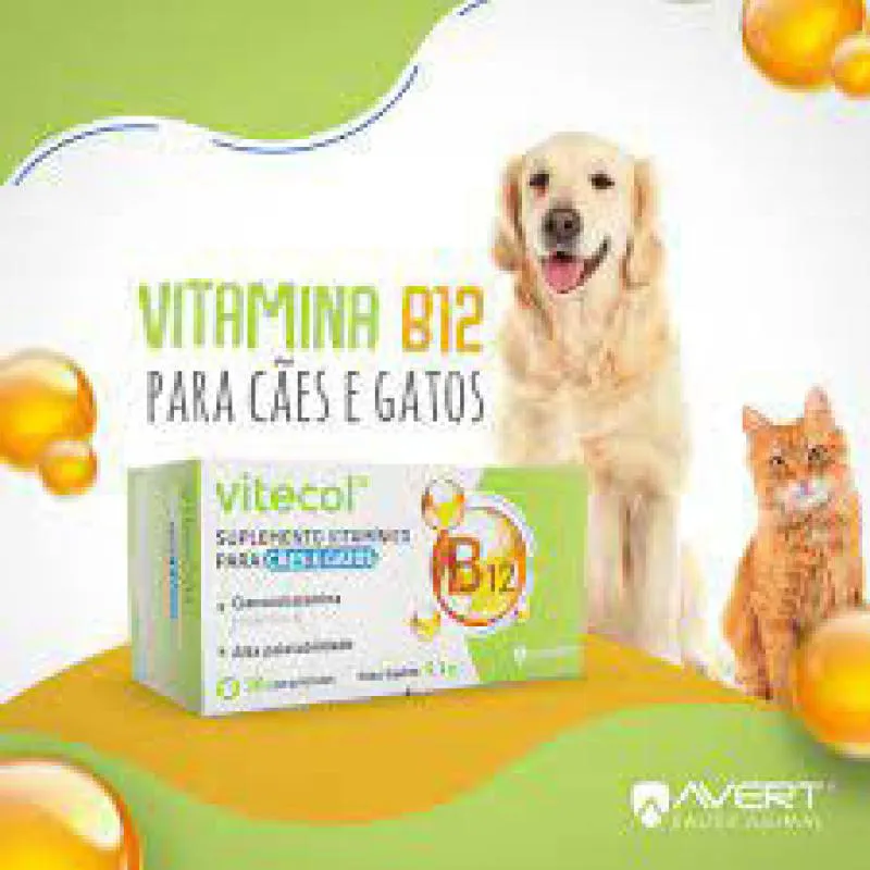 erros ao dar vitamina b12 para cachorro
