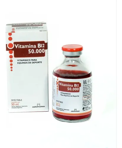 erros comuns ao usar vitamina b12 em cavalos