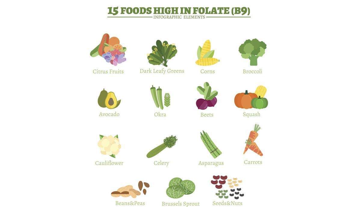 vitamina b9 alimentos