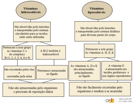 absorção de vitamina D