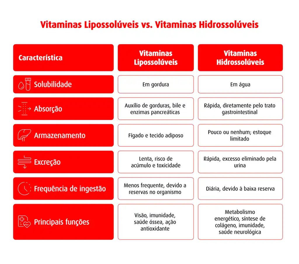 armazenamento de vitamina D no corpo