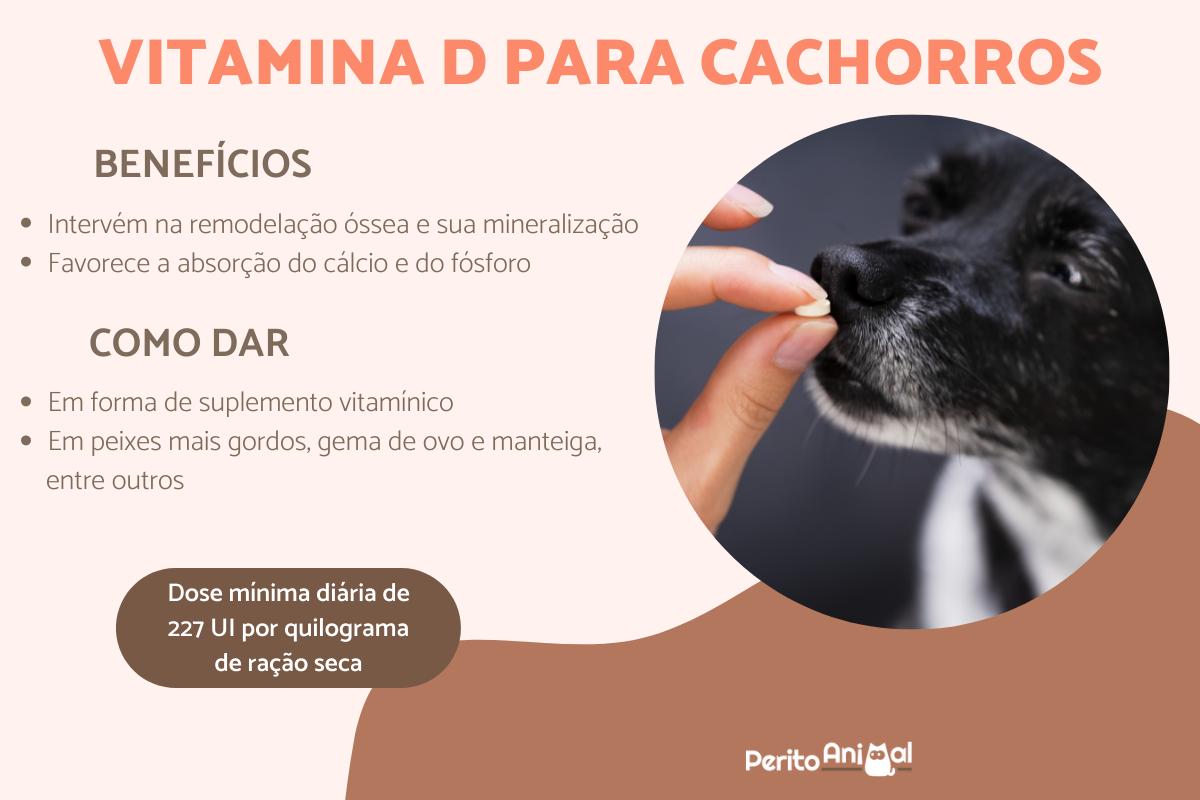 vitamina d para cachorro