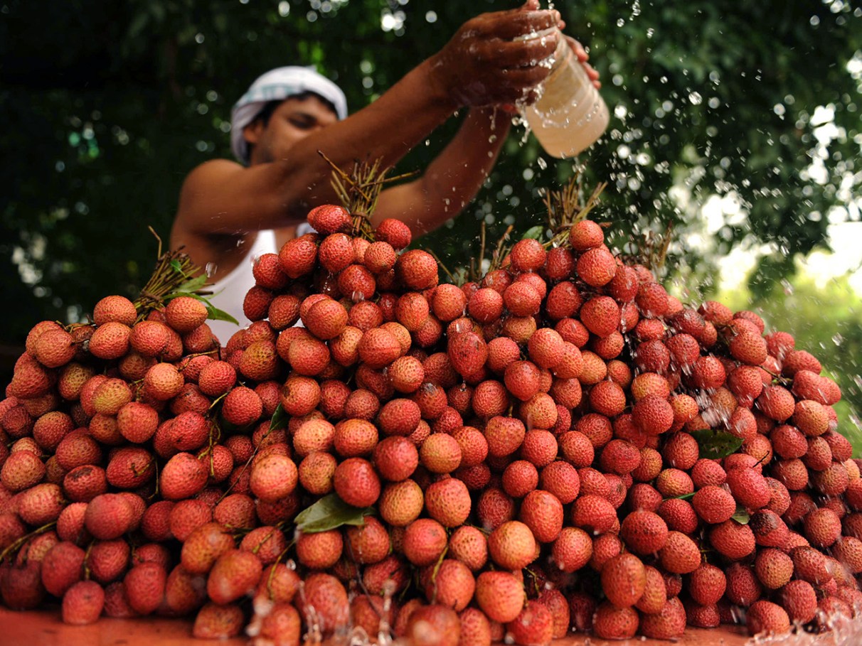 benefícios da vitamina C da lichia para imunidade