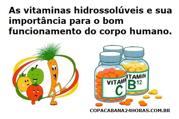 vitamina hidrossolúvel