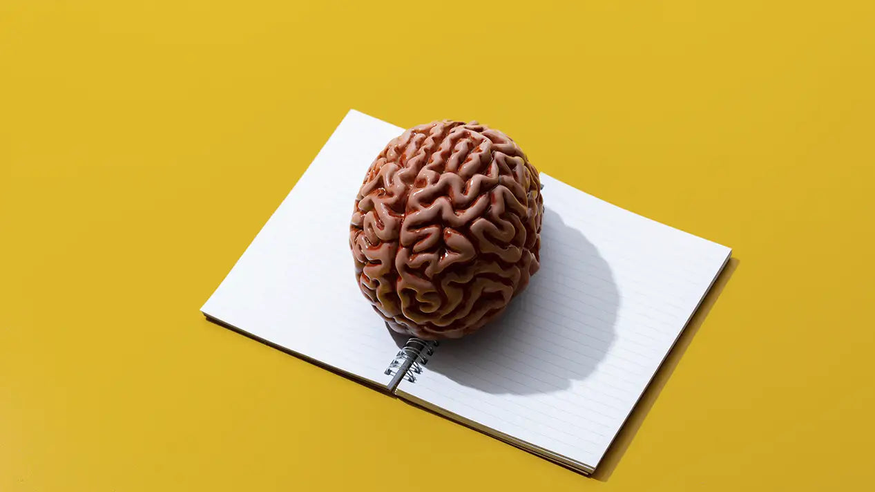 Os Perigos da Deficiência de Vitamina B12 e Seus Impactos na Cognição