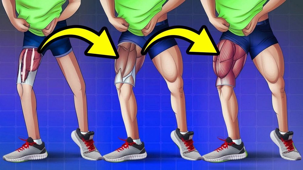 Vitamina B12: Essencial para Nervos e Circulação Saudável nas Pernas
