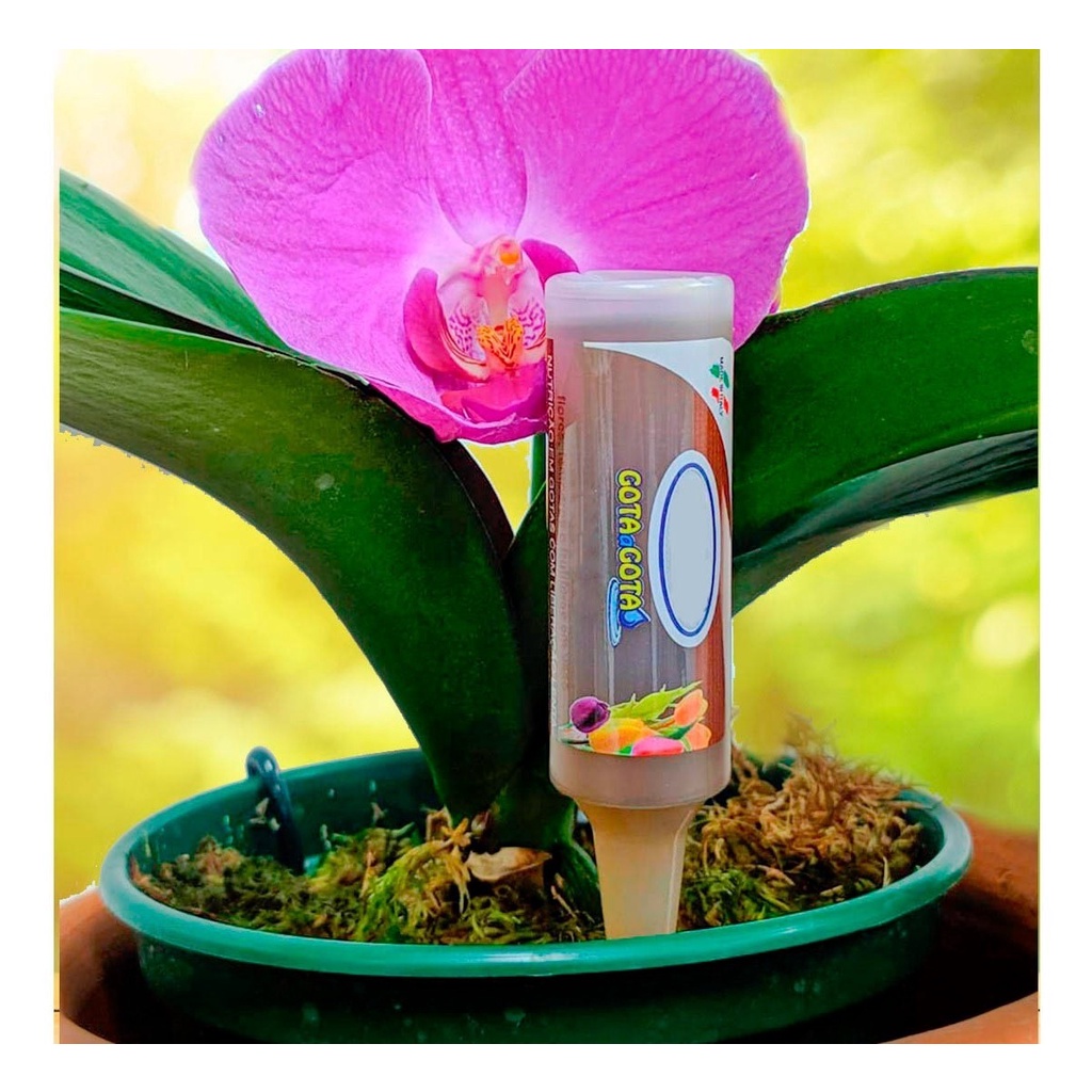 vitamina para orquídeas