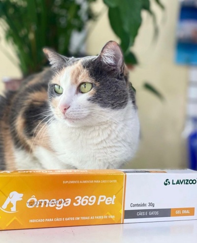 vitamina para parar de cair pelo de gato