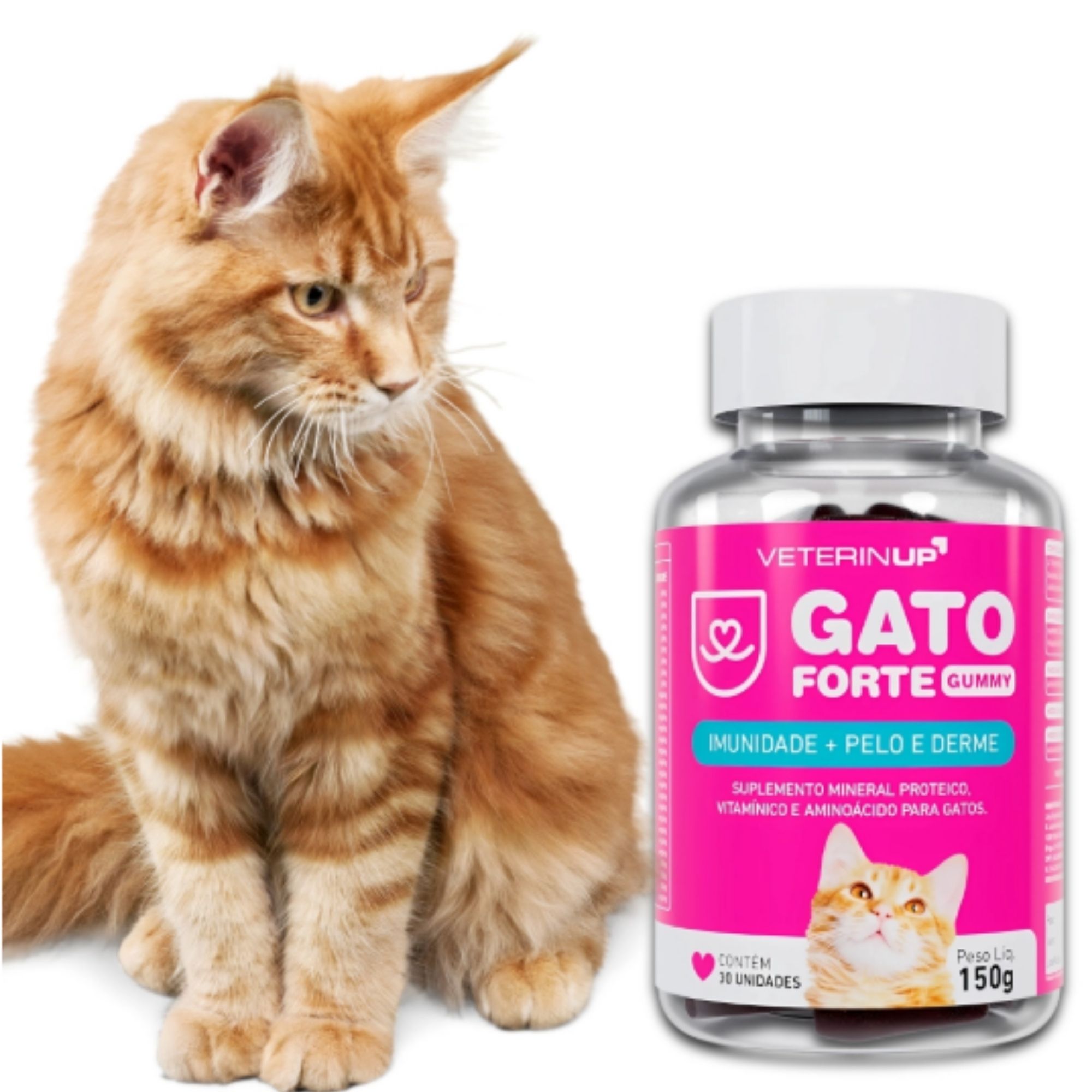 5 ideias de títulos:
1. Dermapet vs. Pelo e Derme Gold: Qual o melhor para o seu pet?
2. Guia completo de suplementos para pele e pelo de cães e gatos.
3. Como tratar a queda de pelo em cães: Opções de suplementação.
4. Benefícios dos suplementos para a saúde da pele em gatos.
5. Dicas de nutrição para uma pelagem brilhante em pets.