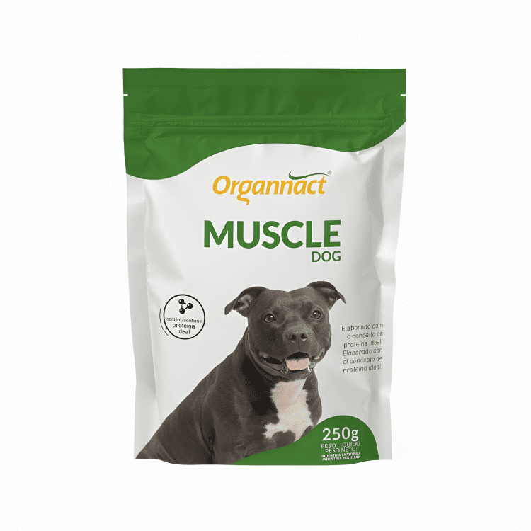 vitamina para pitbull com anemia