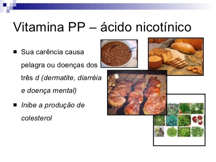 vitamina pp para que serve